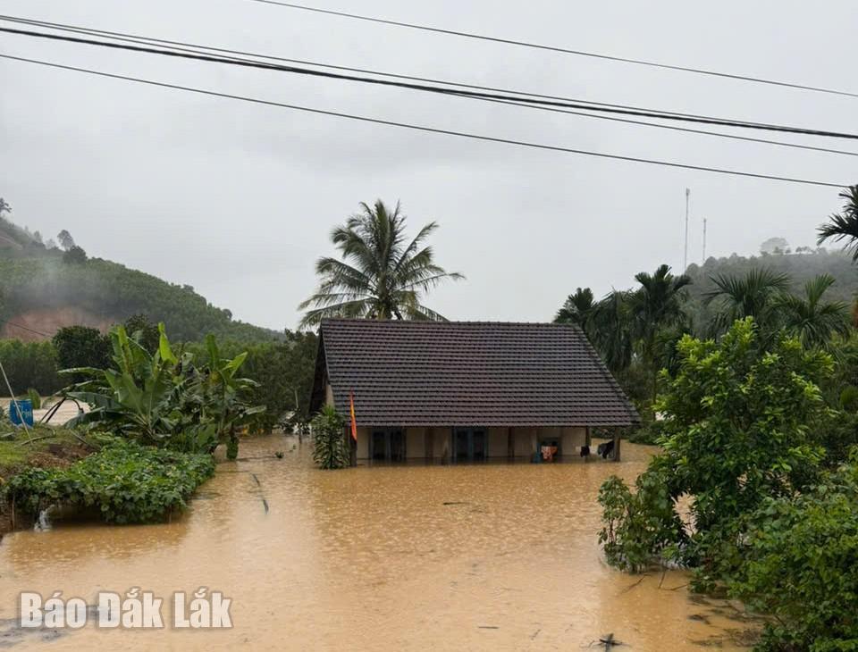 Πολλές περιοχές της κοινότητας Γιανγκ Μάο πλημμύρισαν βαθιά.