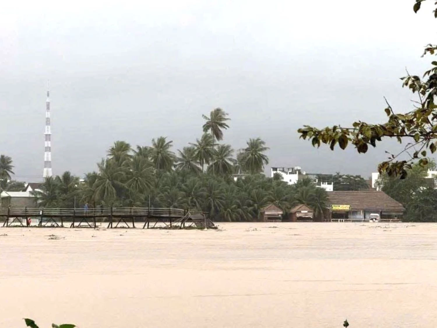 Cầu gỗ Phú Kiểng hiện tại. Ảnh người dân cung cấp.