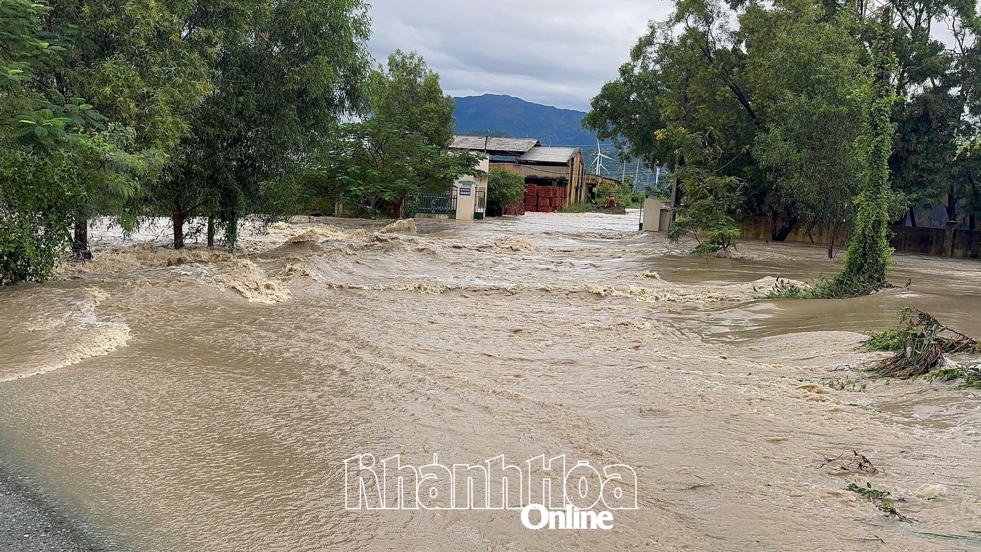 Oblast stavební akciové společnosti Ninh Thuan (vesnice Ba Thap) je zcela izolovaná.