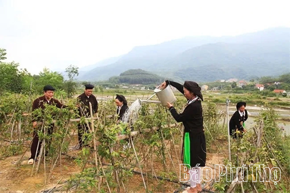 Đẩy mạnh an sinh xã hội gắn với xây dựng nông thôn mới