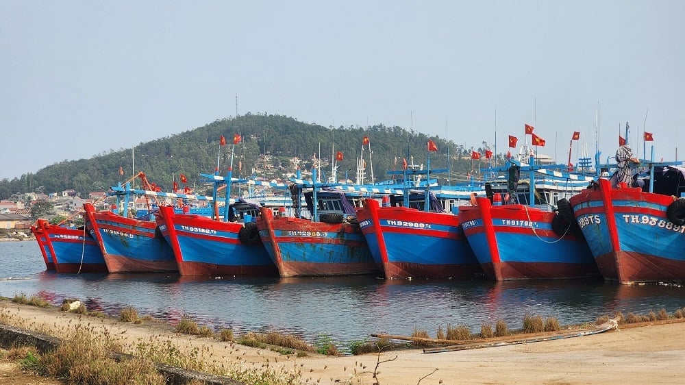 การควบคุมกิจกรรมการประมงและปราบปรามการประมงผิดกฎหมาย ภาพ: Thu Thuy