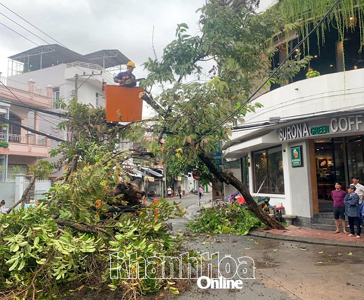 ... úřady situaci urychleně řešily, aby zajistily bezpečnost.