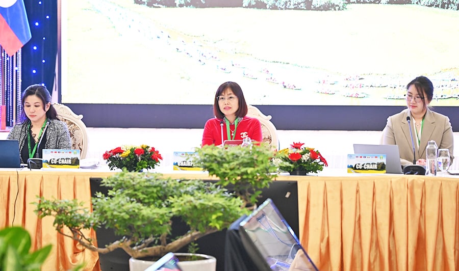 Cục Du lịch Quốc gia Việt Nam chủ trì Phiên họp nhóm công tác du lịch GMS lần thứ 56 - Ảnh 1.