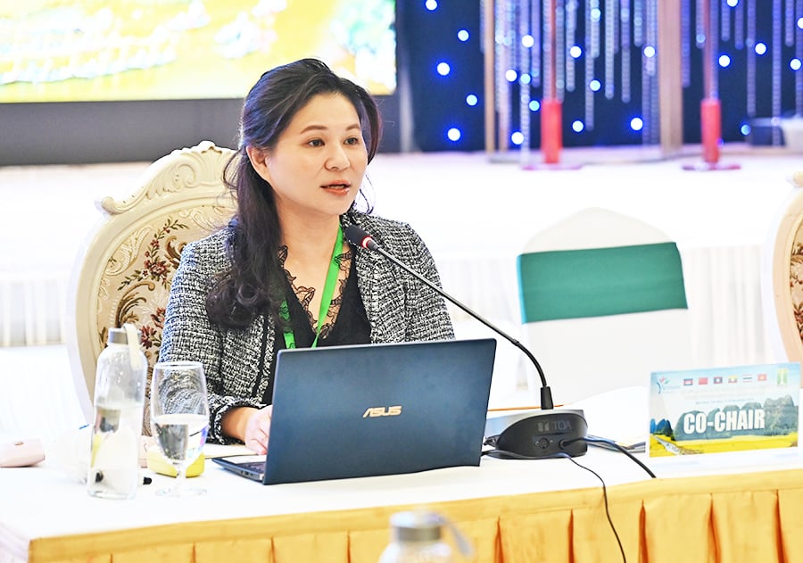 Cục Du lịch Quốc gia Việt Nam chủ trì Phiên họp nhóm công tác du lịch GMS lần thứ 56 - Ảnh 5.