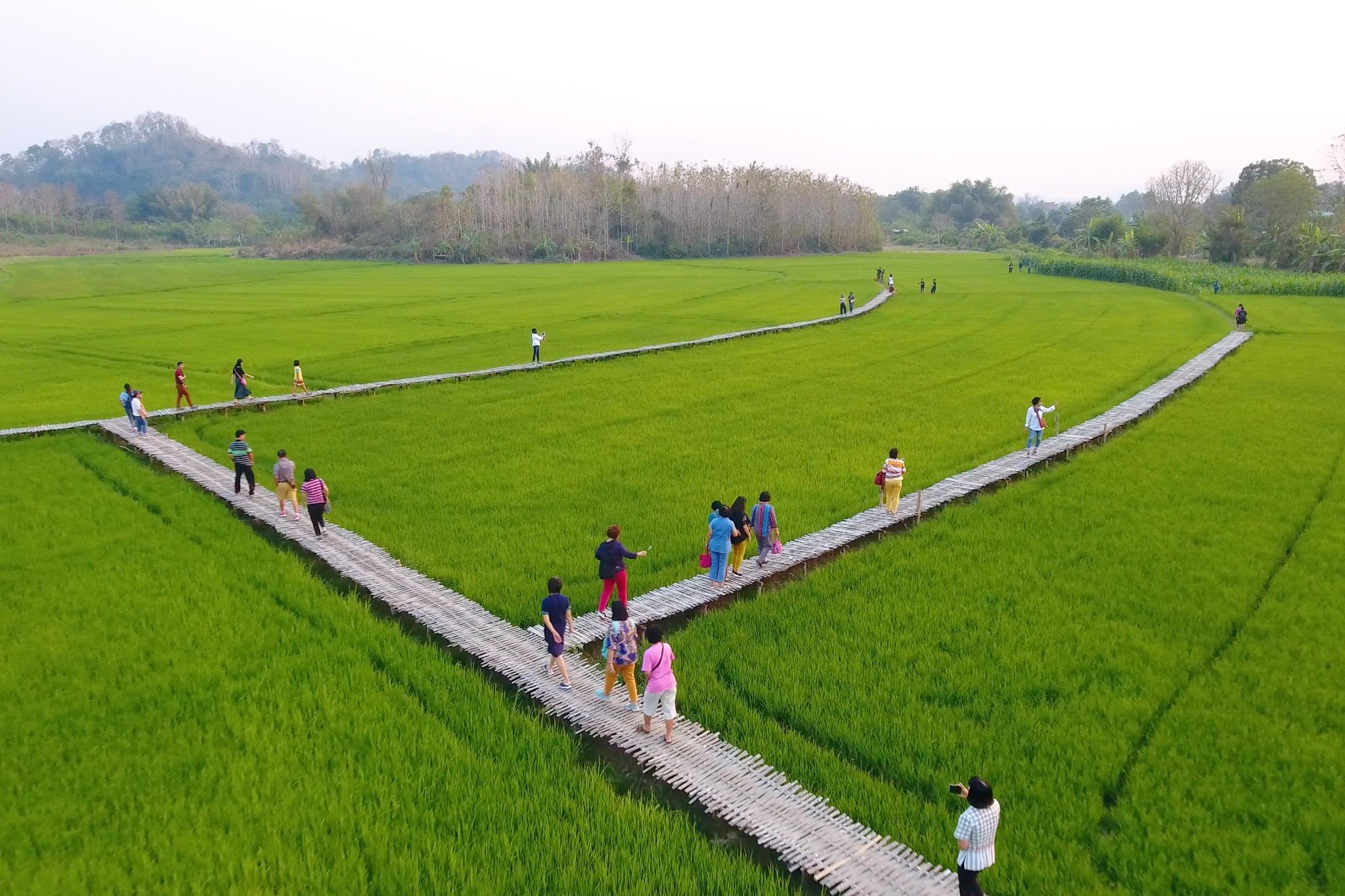 Sukhothai Tailândia Tour foto 17