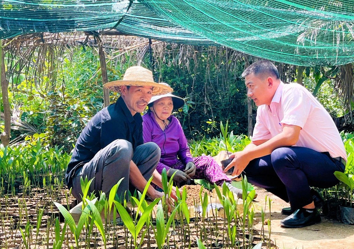 नीतिगत पूंजी प्रवाह से सुरक्षा की ओर स्थिर कदम Vững bước an sinh từ dòng vốn chính sách