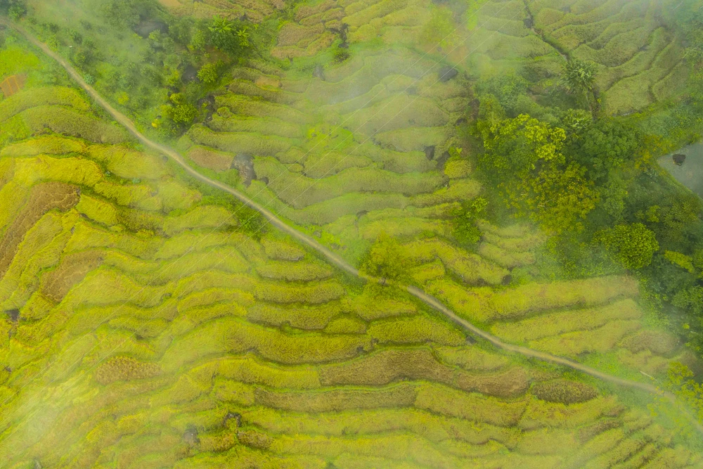 Пу Лыонг в тумане: «Са Па из земли Тхань» очаровывает людей