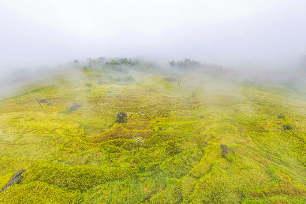 Пу Лыонг в тумане: «Са Па из земли Тхань» очаровывает людей