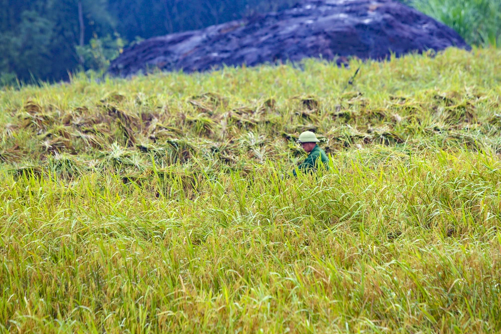 Пу Лыонг в тумане: «Са Па из земли Тхань» очаровывает людей