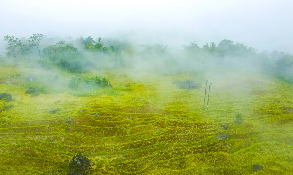Пу Лыонг в тумане: «Са Па из земли Тхань» очаровывает людей