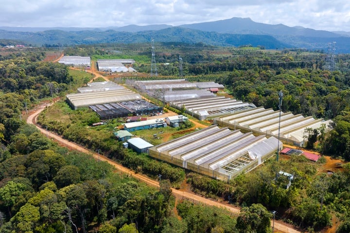 Giữ vững nông nghiệp công nghệ cao trong hành lang pháp lý phát triển quốc gia - Ảnh 2.