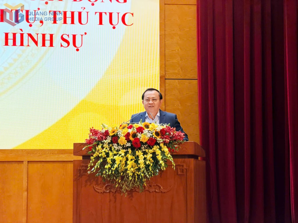 សមមិត្ត Le Tan Can អនុរដ្ឋមន្ត្រីក្រសួងហិរញ្ញវត្ថុបាននិយាយនៅក្នុងសន្និសីទ។