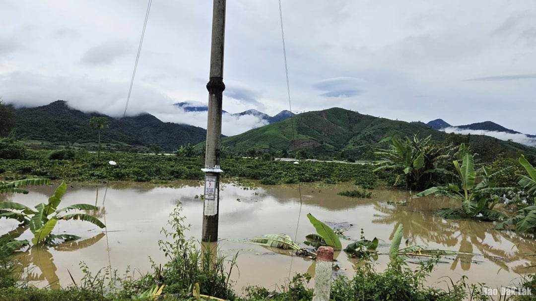Silné deště způsobily, že se úroda mnoha lidí ocitla pod vodou.
