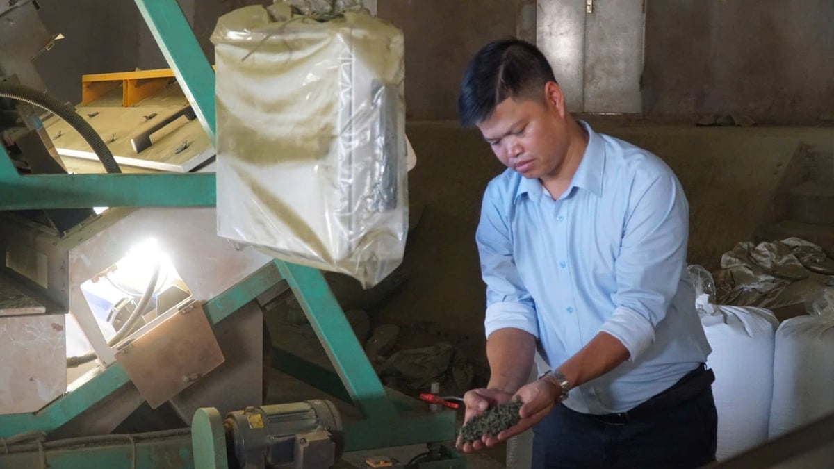 استثمر السيد دو فيت ترونغ أكثر من 40 مليار دونج في نظام معالجة الشاي. تصوير: دوك بينه. Anh Đỗ Viết Trung đầu tư hơn 40 tỷ đồng cho hệ thống chế biến chè. Ảnh: Đức Bình.
