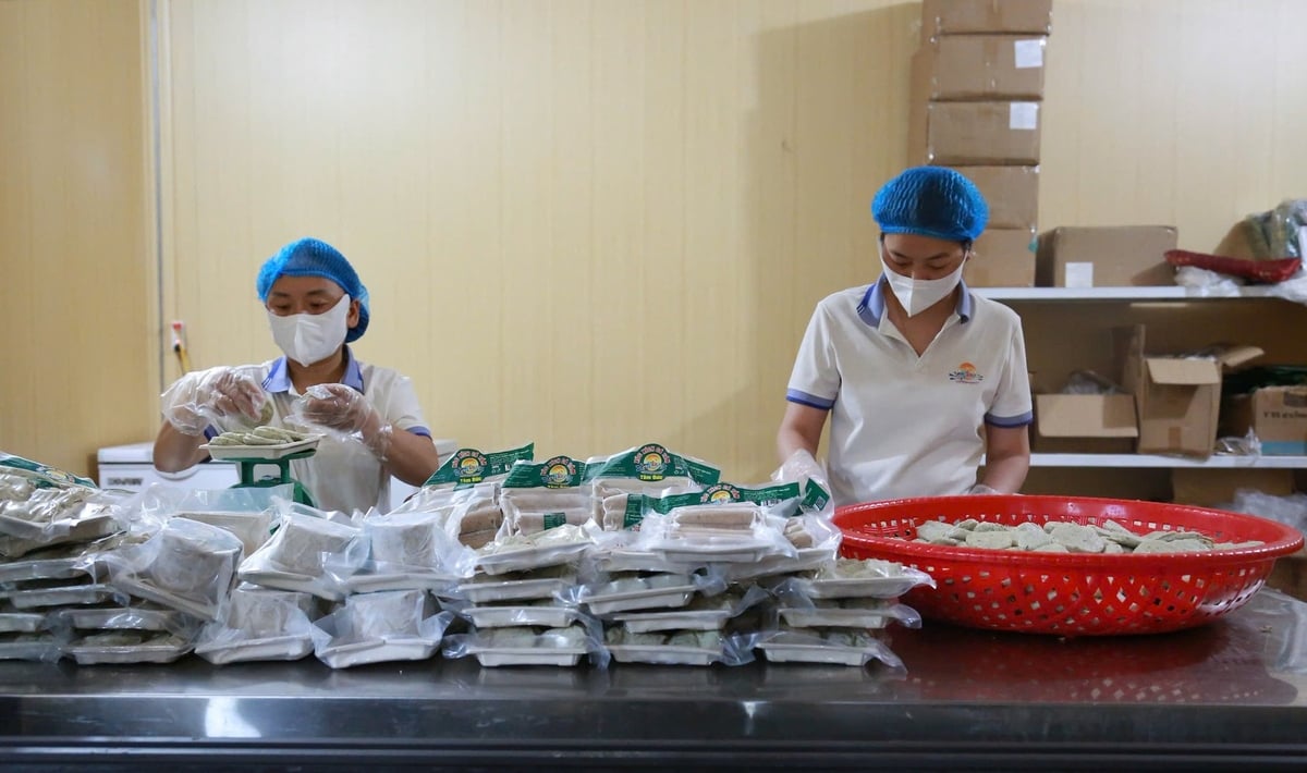 Bolinhos de peixe, salsichas de peixe e rolinhos de peixe se tornaram muito conhecidos. Foto: Thanh Nga.
