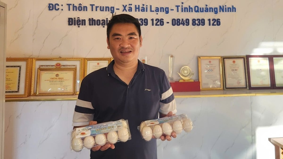 ドンティエン協同組合の理事長、ヴー・トゥアン・アン氏は、ドンルイ海鴨卵生産チェーンの構築における先駆者です。写真:グエン・タン
