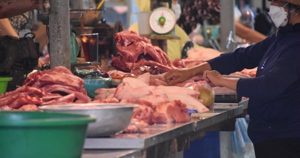 Chủ động nguồn cung thịt lợn cho cao điểm Tết Bính Ngọ 2026