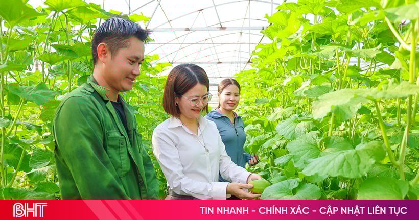 Xã Thạch Lạc quy hoạch hơn 56 ha sản xuất lúa theo hướng hữu cơ