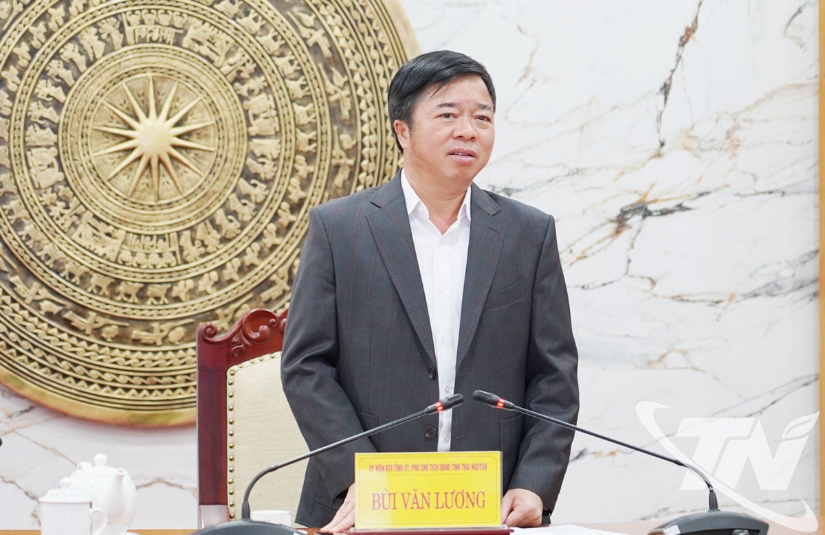 Vice Chairman of the Provincial People's Committee Bui Van Luong delivered a concluding speech at the meeting.