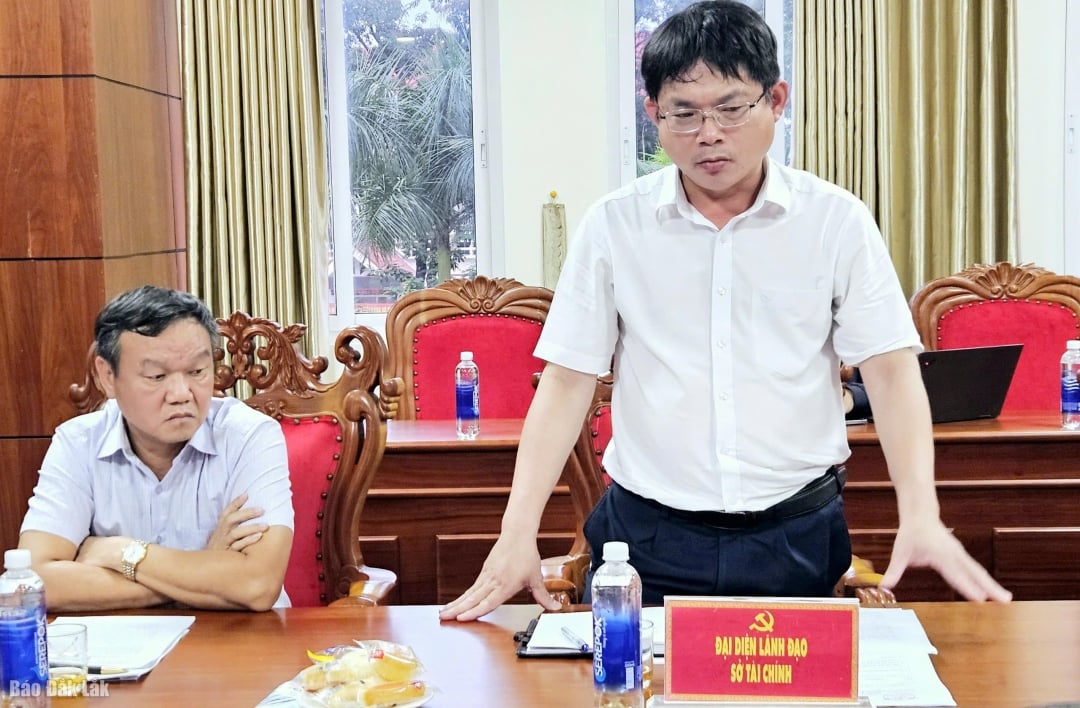 Der stellvertretende Direktor der Finanzabteilung, Huynh Gia Hoang, äußerte sich im Rahmen des Treffens.