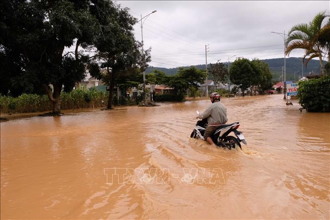 ចំណងជើងរូបថត