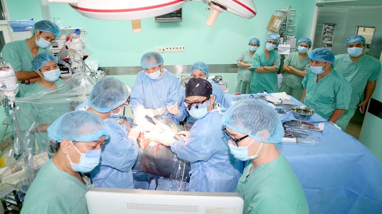 Spitalul Central Hue controlează procesul de la extracția ficatului până la transplantul pentru pacienți - Foto 2. BV Trung ương Huế làm chủ quy trình từ lấy gan đến ghép cho người bệnh- Ảnh 2.