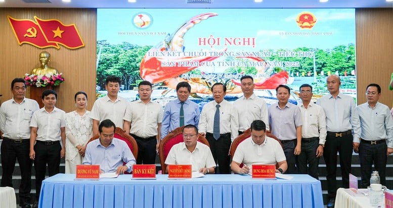 Å bygge en krabbekjede i Ca Mau: En springbrett for spesialiteter som når langt – Bilde 2. Xây dựng chuỗi liên kết cua Cà Mau: Bệ phóng cho đặc sản vươn xa- Ảnh 2.