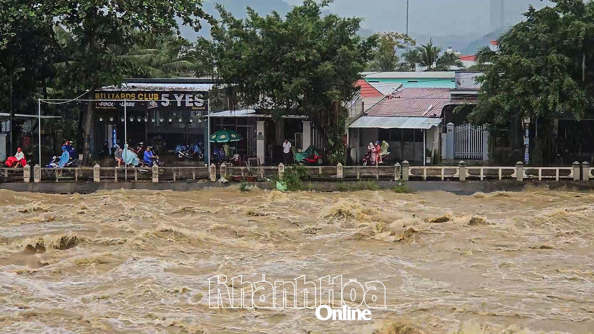 Lũ trên sống Cái Nha Trang đang xuống.