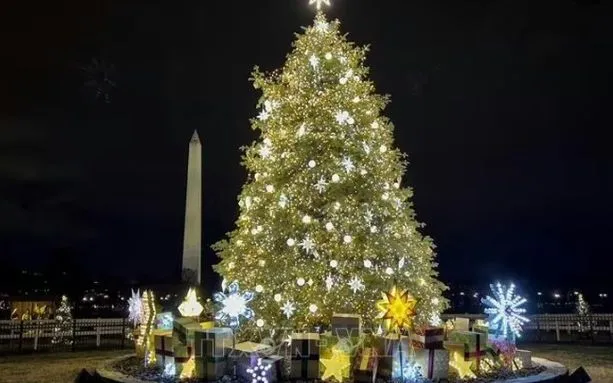 ຕົ້ນຄຣິສມາສທີ່ຕົກແຕ່ງຢູ່ວໍຊິງຕັນ ດີຊີ, ສະຫະລັດ. ພາບ: AFP/TTXVN Một cây thông Noel được trang trí tại Washington, DC, Mỹ. Ảnh: AFP/TTXVN