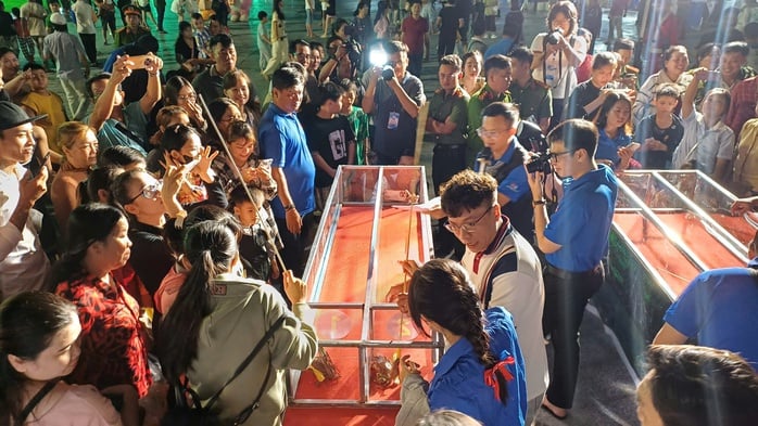 VIDEO: Người dân, du khách chen chân xem đua cua ở Cà Mau - Ảnh 6.