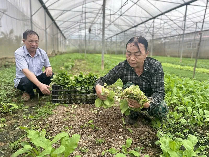 Un punto de apoyo para ayudar a los agricultores a obtener capital para la producción y el desarrollo económico.