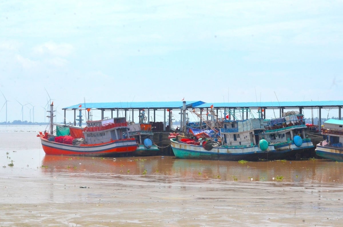 Từ năm 2024  đến nay, Tân Thủy không ghi nhận trường hợp tàu cá vi phạm nghiêm trọng, chỉ còn vài trường hợp tàu mất tín hiệu do sự cố. Ảnh: Minh Đảm.