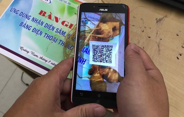 ກໍ່ສ້າງສູນໂສມຫງອກລິງຈາກການປຸງແຕ່ງຢ່າງເລິກເຊິ່ງ ແລະ ບັ້ນຮົບປົກປັກຮັກສາຍີ່ຫໍ້ - ຮູບພາບ 1. Xây dựng trung tâm sâm Ngọc Linh từ chế biến sâu và cuộc chiến bảo vệ thương hiệu- Ảnh 1.