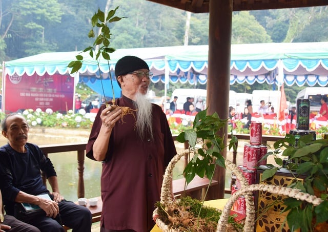 ກໍ່ສ້າງສູນໂສມຫງອກລິງຈາກການປຸງແຕ່ງຢ່າງເລິກເຊິ່ງ ແລະ ບັ້ນຮົບປົກປັກຮັກສາຍີ່ຫໍ້ - ຮູບພາບ 2. Xây dựng trung tâm sâm Ngọc Linh từ chế biến sâu và cuộc chiến bảo vệ thương hiệu- Ảnh 2.