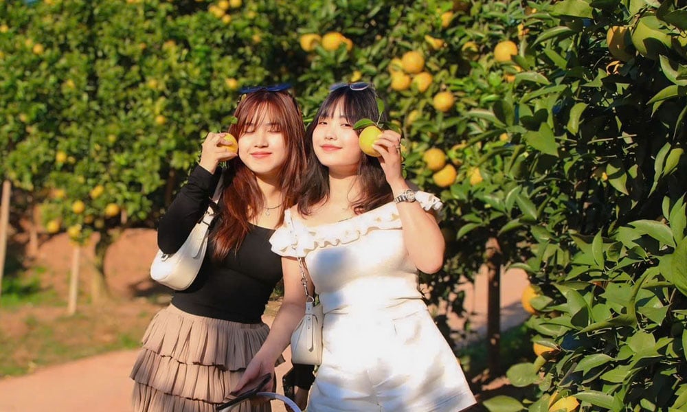 Mê mẩn vườn cam bạc tỷ ở Kiên Lao (Bắc Ninh)