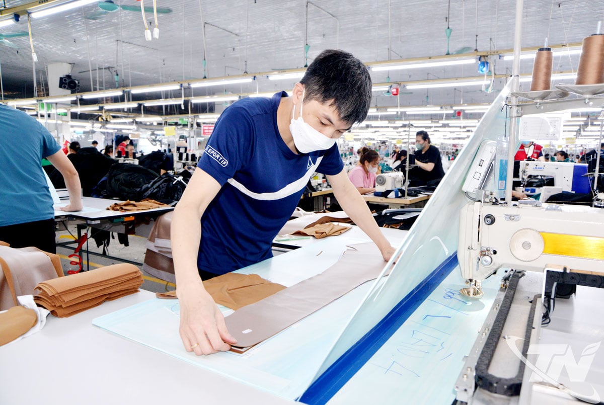 Provinsens eksportverdi av klesvarer i de første 10 månedene av 2025 nådde nesten 460 millioner USD, en økning på 6,7 % i forhold til samme periode i fjor.