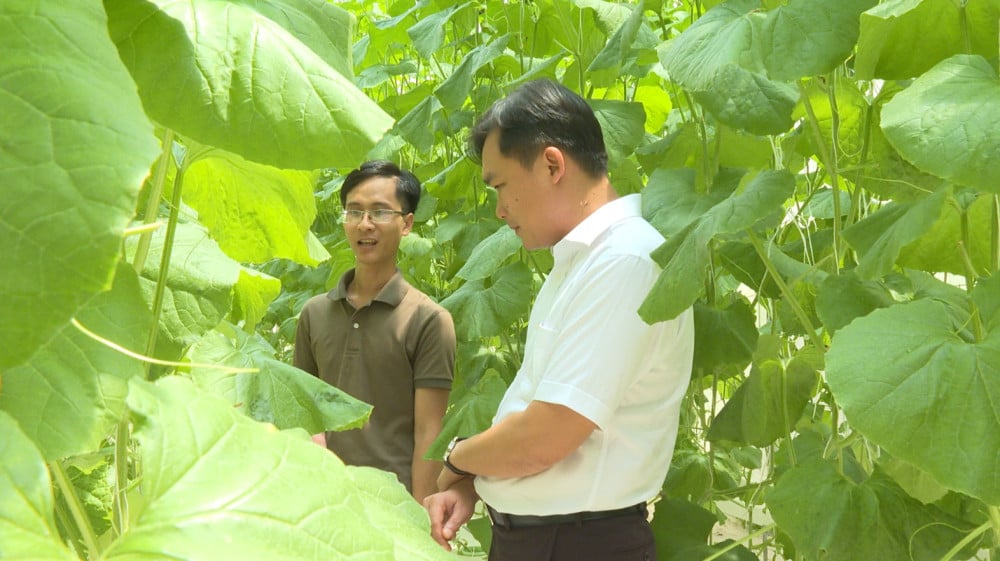 Hòa Hội: Khai thác tiềm năng, phát triển kinh tế vùng biên