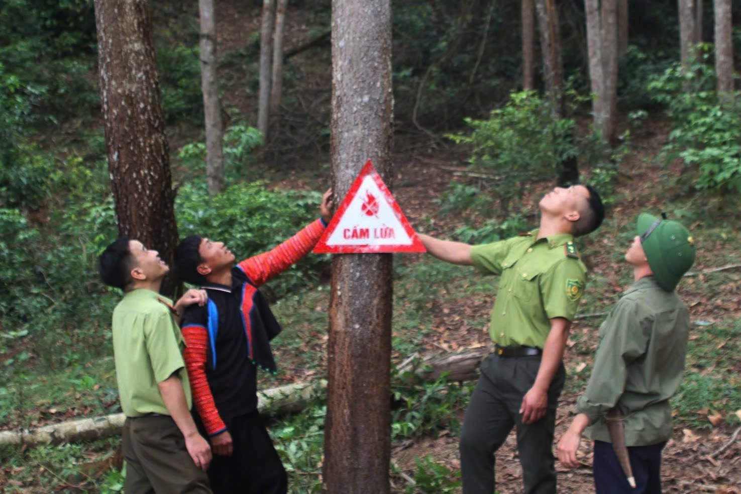 Grazie all'impegno congiunto dei guardaboschi e degli abitanti di Xuan Nha, la zona è rimasta al riparo dagli incendi boschivi per molti anni. Foto: Nguyen Nga.