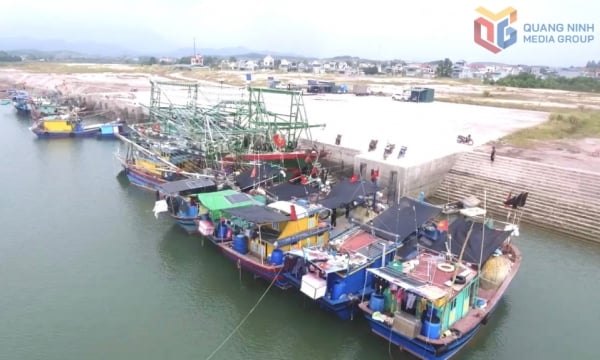 Giữ vững thành quả chống vi phạm IUU