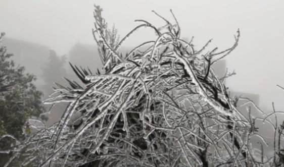 Đón không khí lạnh cực mạnh, miền Bắc rét 6 ngày, vùng núi dưới 5 độ C