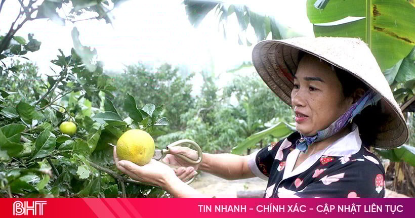 Phát triển mô hình kinh tế, trao cơ hội giảm nghèo bền vững