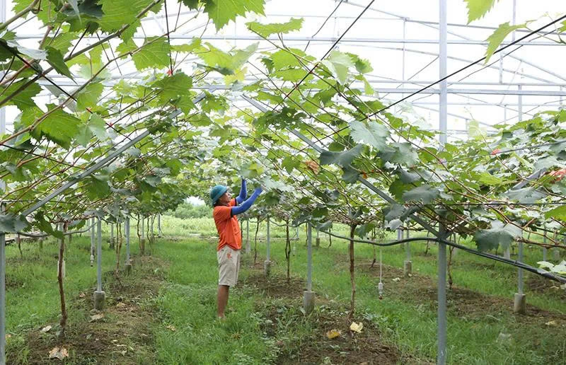 ການຜະລິດກະສິກໍາຕິດພັນກັບການປົກປັກຮັກສາສິ່ງແວດລ້ອມ