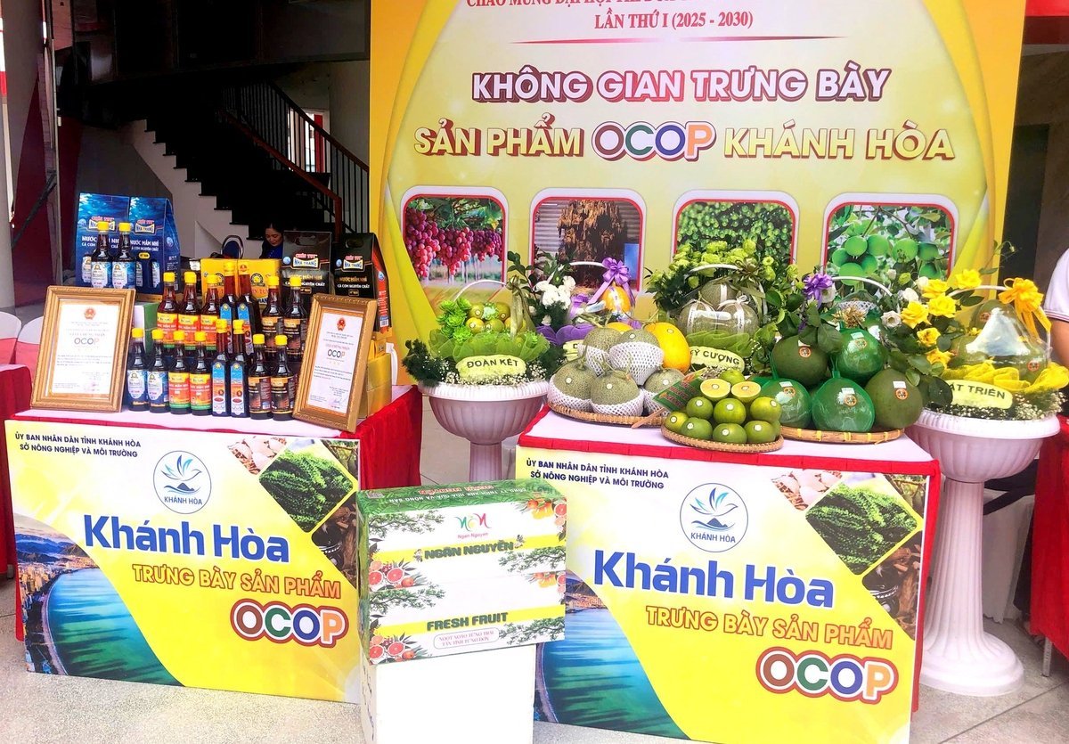 Sản phẩm OCOP của Khánh Hòa rất đa dạng với 600 sản phẩm. Ảnh: KS.