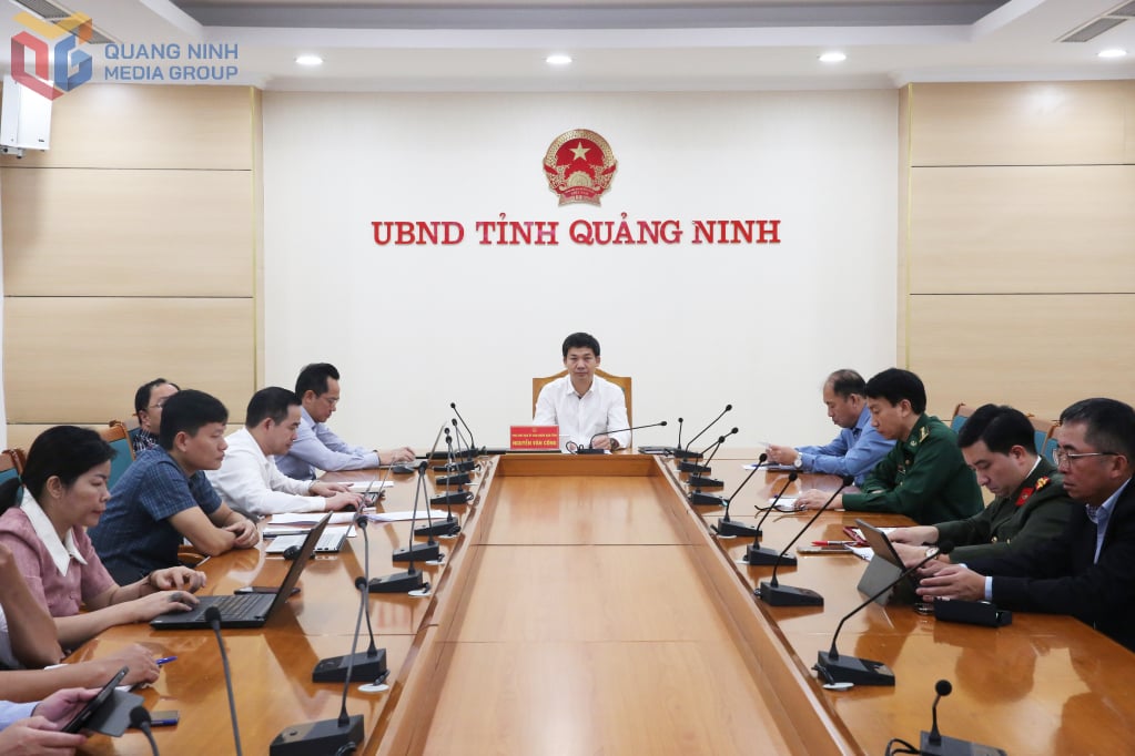 Các đại biểu dự hội nghị tại điểm cầu tỉnh Quảng Ninh.