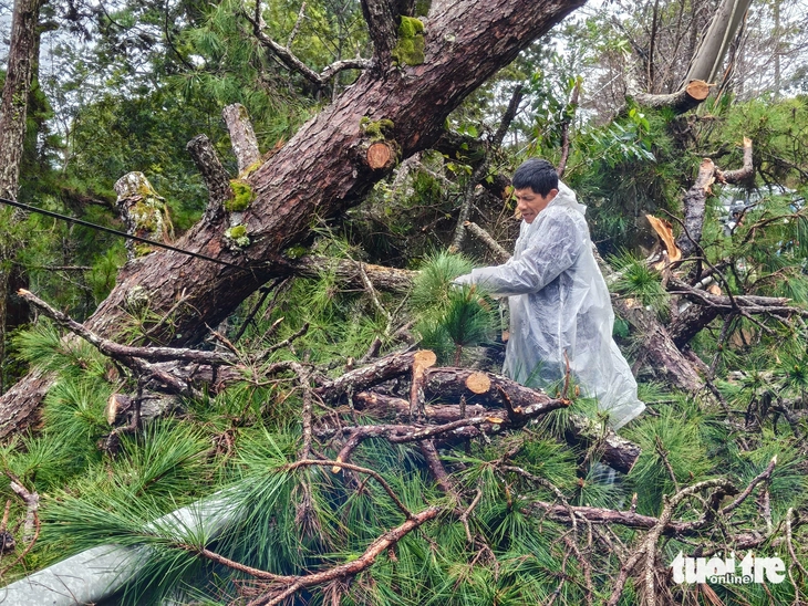 Đà Lạt - Ảnh 1.