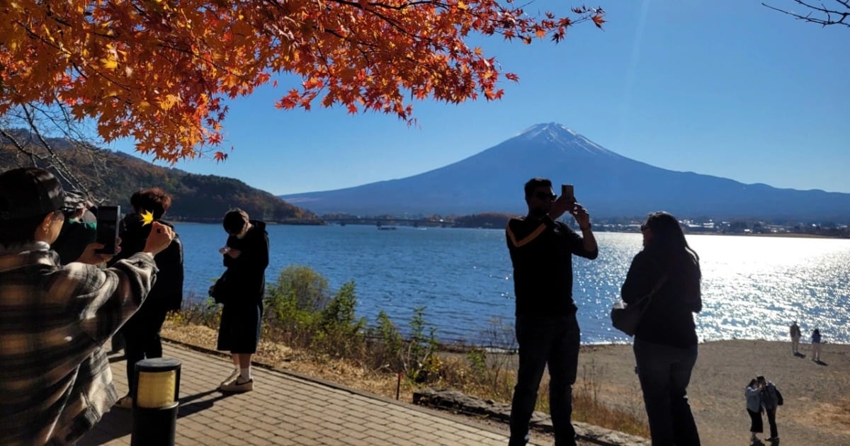 Con đường lá đỏ ở Nhật Bản hút khách săn ảnh núi Phú Sĩ soi bóng