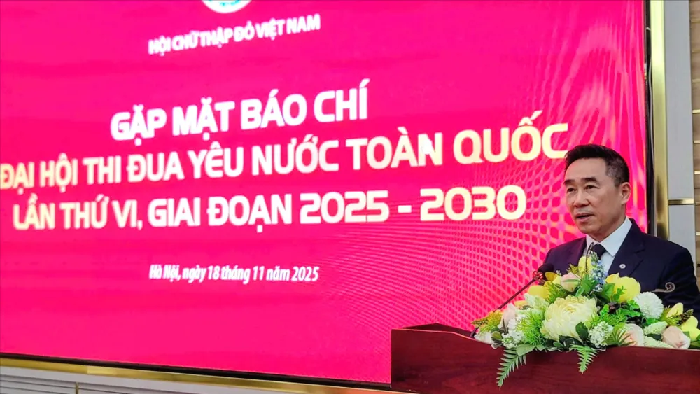 Mr. Nguyen Hai Anh, Vice President and General Secretary of the Vietnam Red Cross Society, spoke at the meeting.