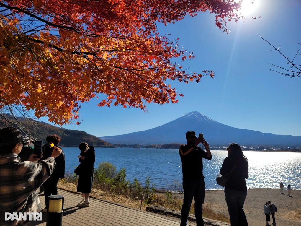 นักท่องเที่ยวจำนวนมากพยายามบันทึกภาพฉากต่างๆ จากแนวต้นไม้ La Do.jpg.webp