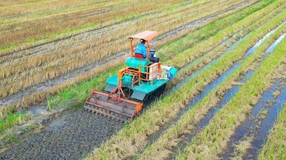 ‘Hành trình xanh - Đất khỏe, cây trồng khỏe’ để canh tác lúa giảm phát thải