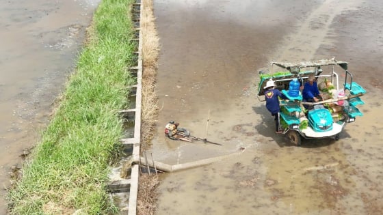 Cần chính sách riêng để phát triển thủy lợi nội đồng